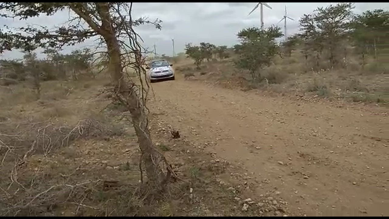 Rally Drivers are different breed - INRC 2018