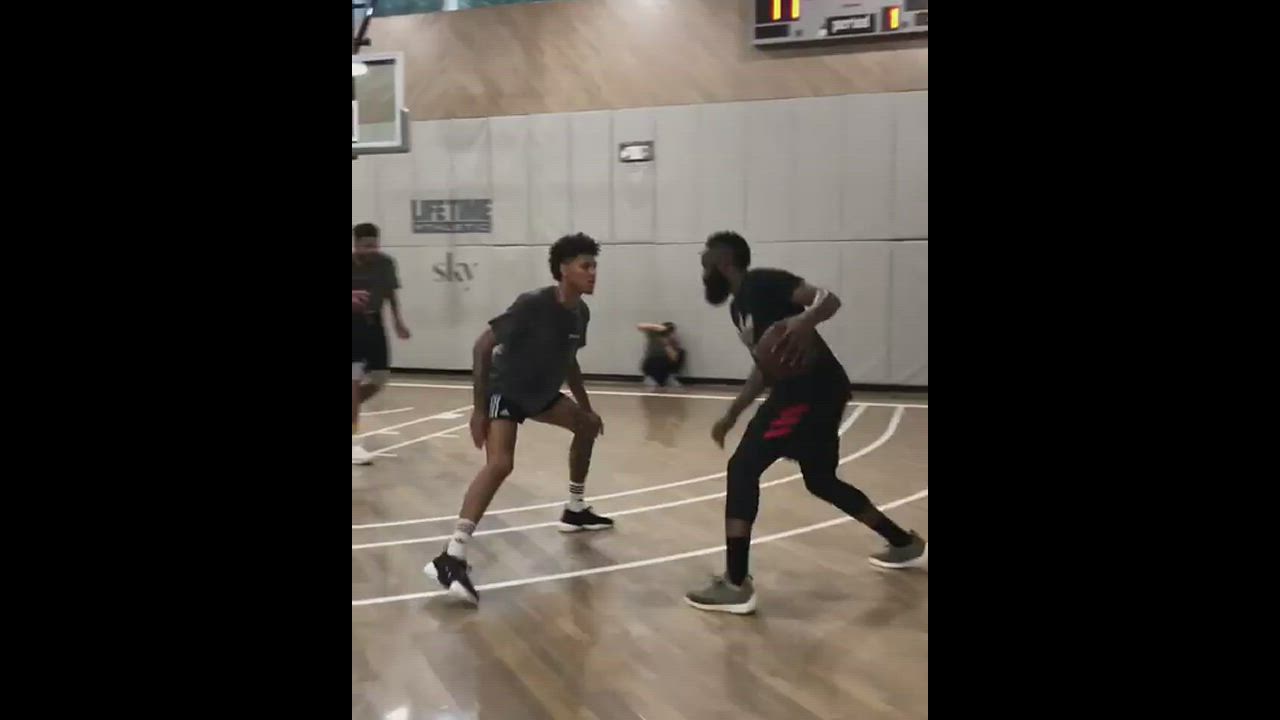 James Harden: His court vision is just brilliant