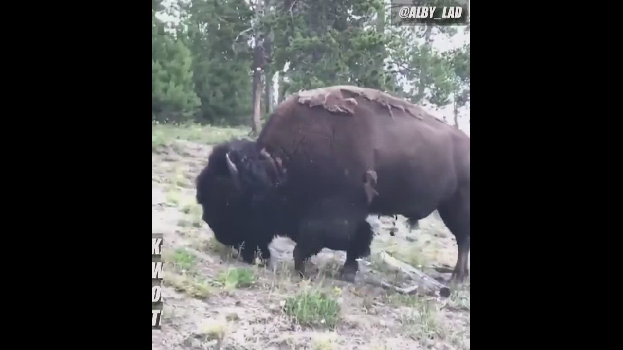 KanteRamos when they see the opposition entering their area