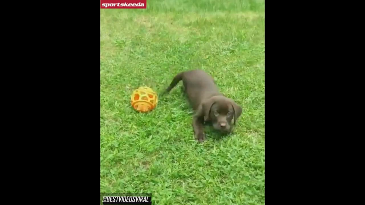 More footage of Lukaku's footwork has been uncovered